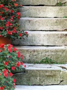 steps with flowers